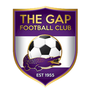 半岛电力女足